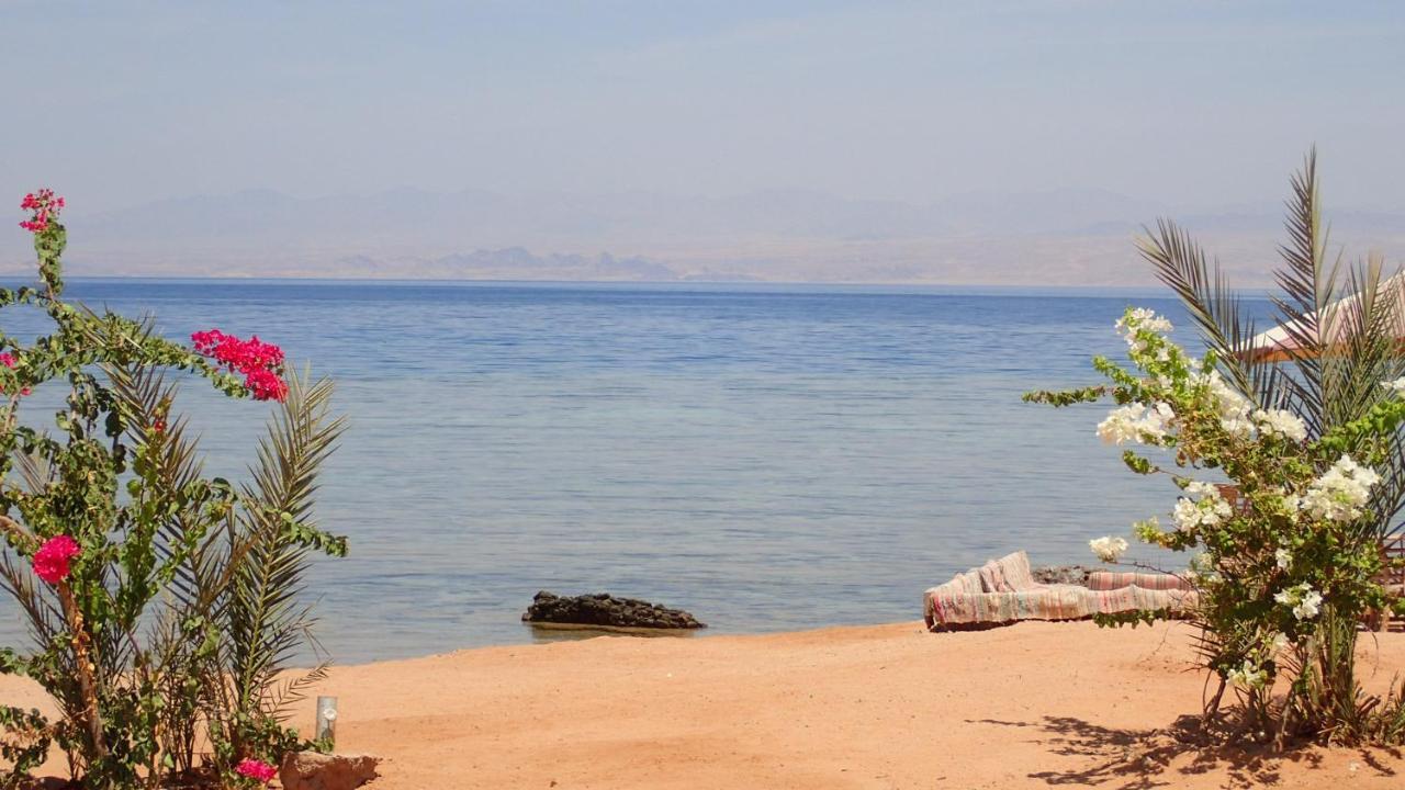 Bedouin Star Hotel Taba Kültér fotó