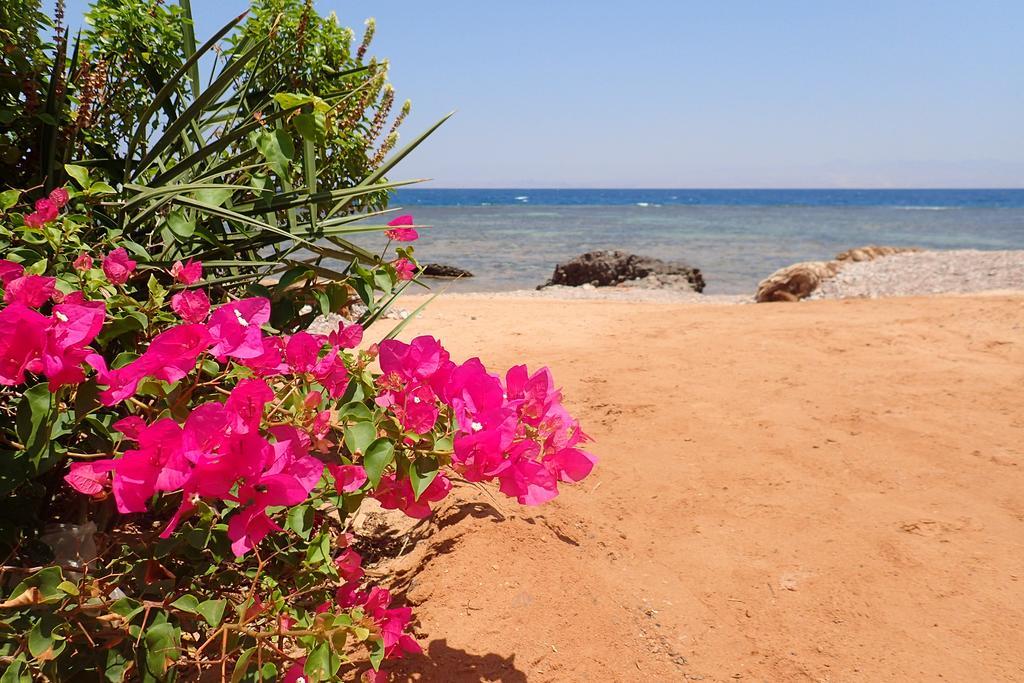 Bedouin Star Hotel Taba Kültér fotó