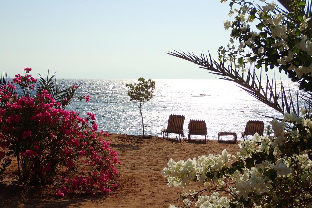 Bedouin Star Hotel Taba Kültér fotó