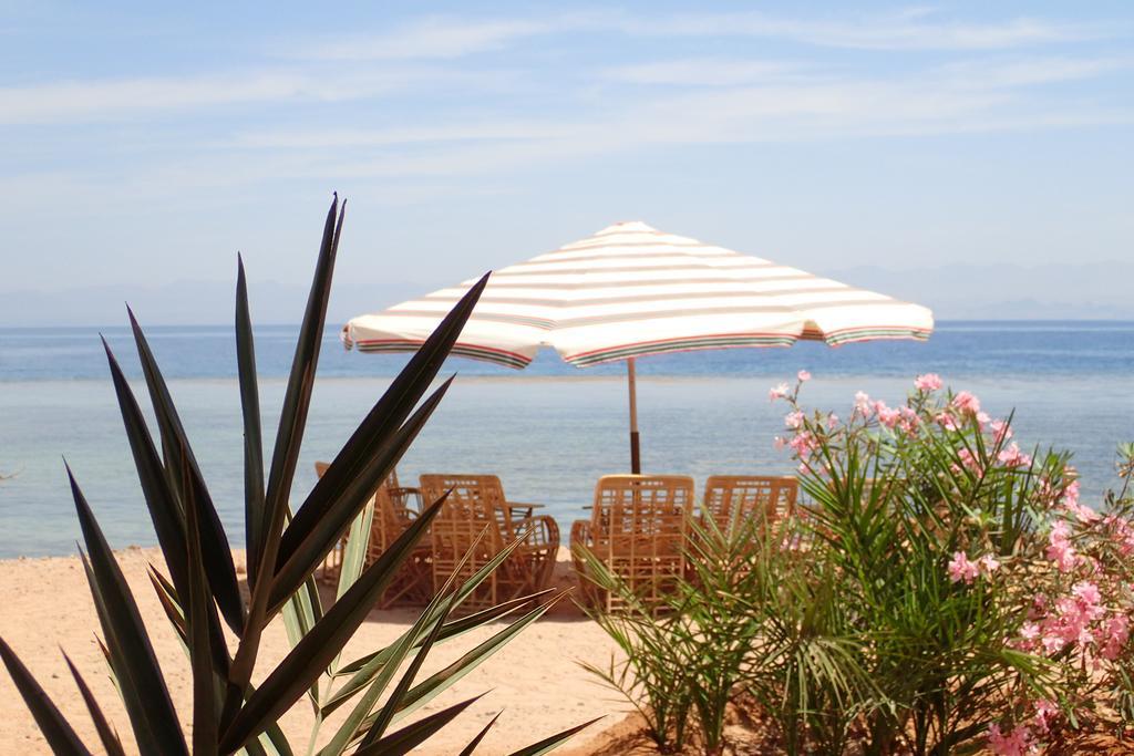Bedouin Star Hotel Taba Kültér fotó