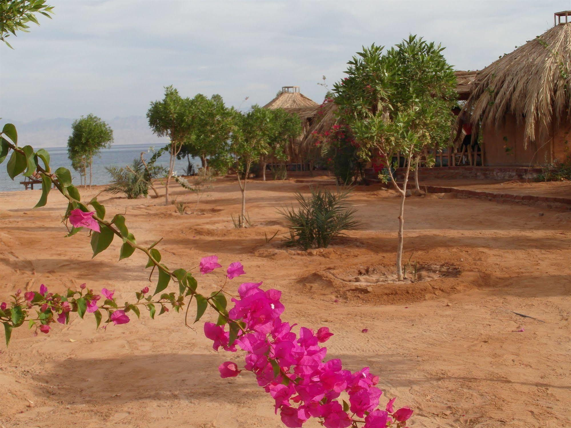 Bedouin Star Hotel Taba Kültér fotó