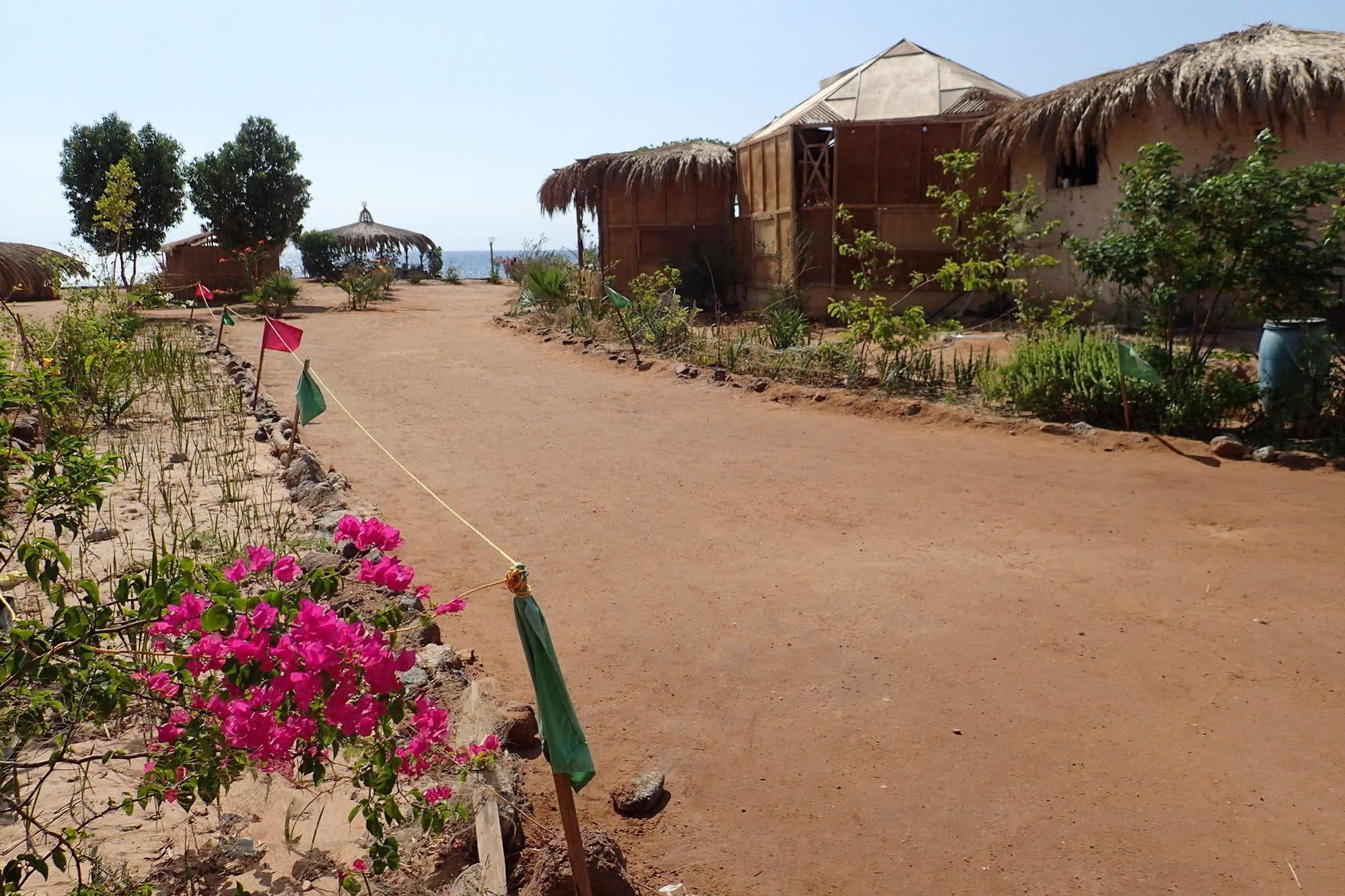 Bedouin Star Hotel Taba Kültér fotó
