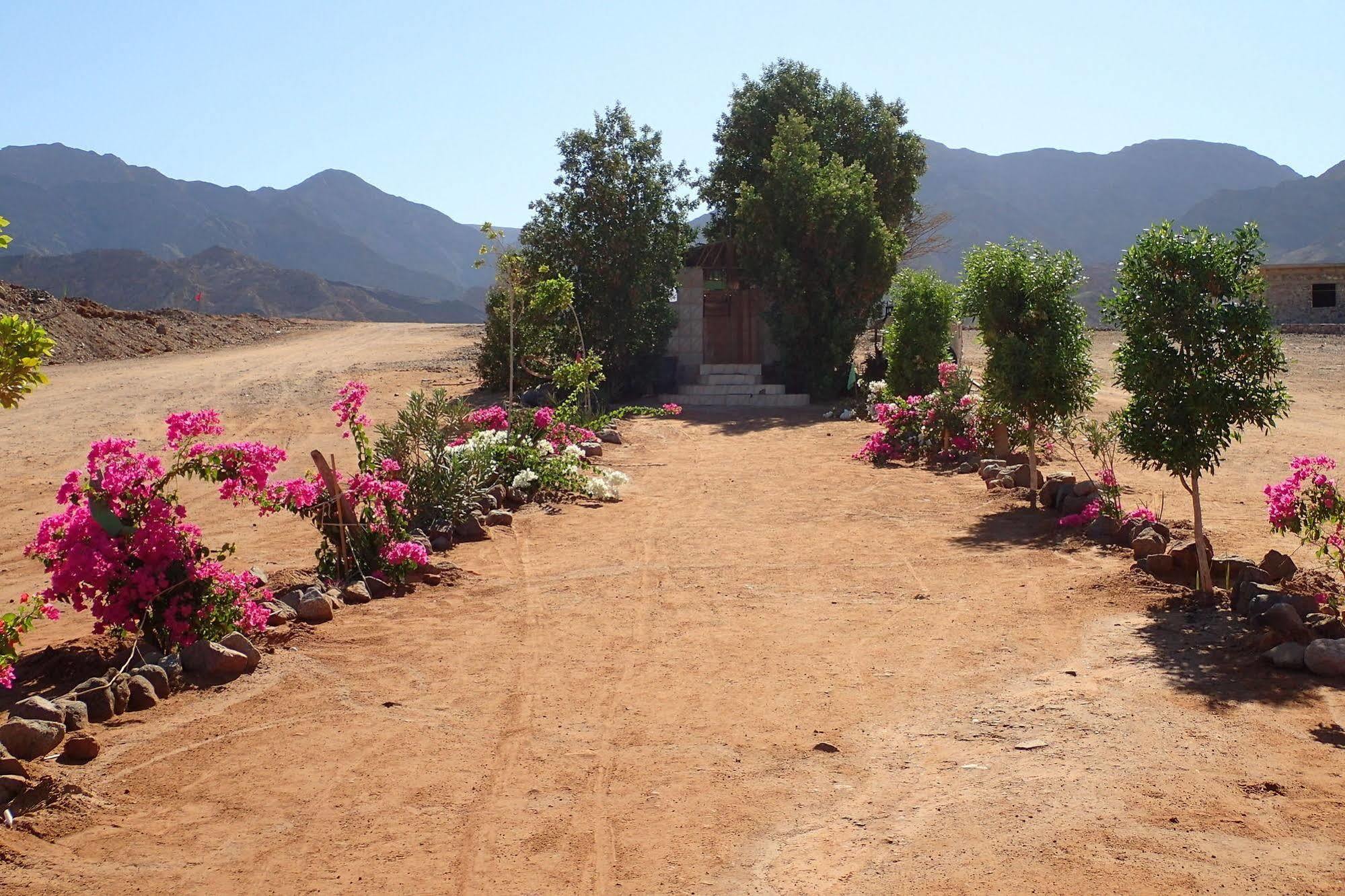 Bedouin Star Hotel Taba Kültér fotó