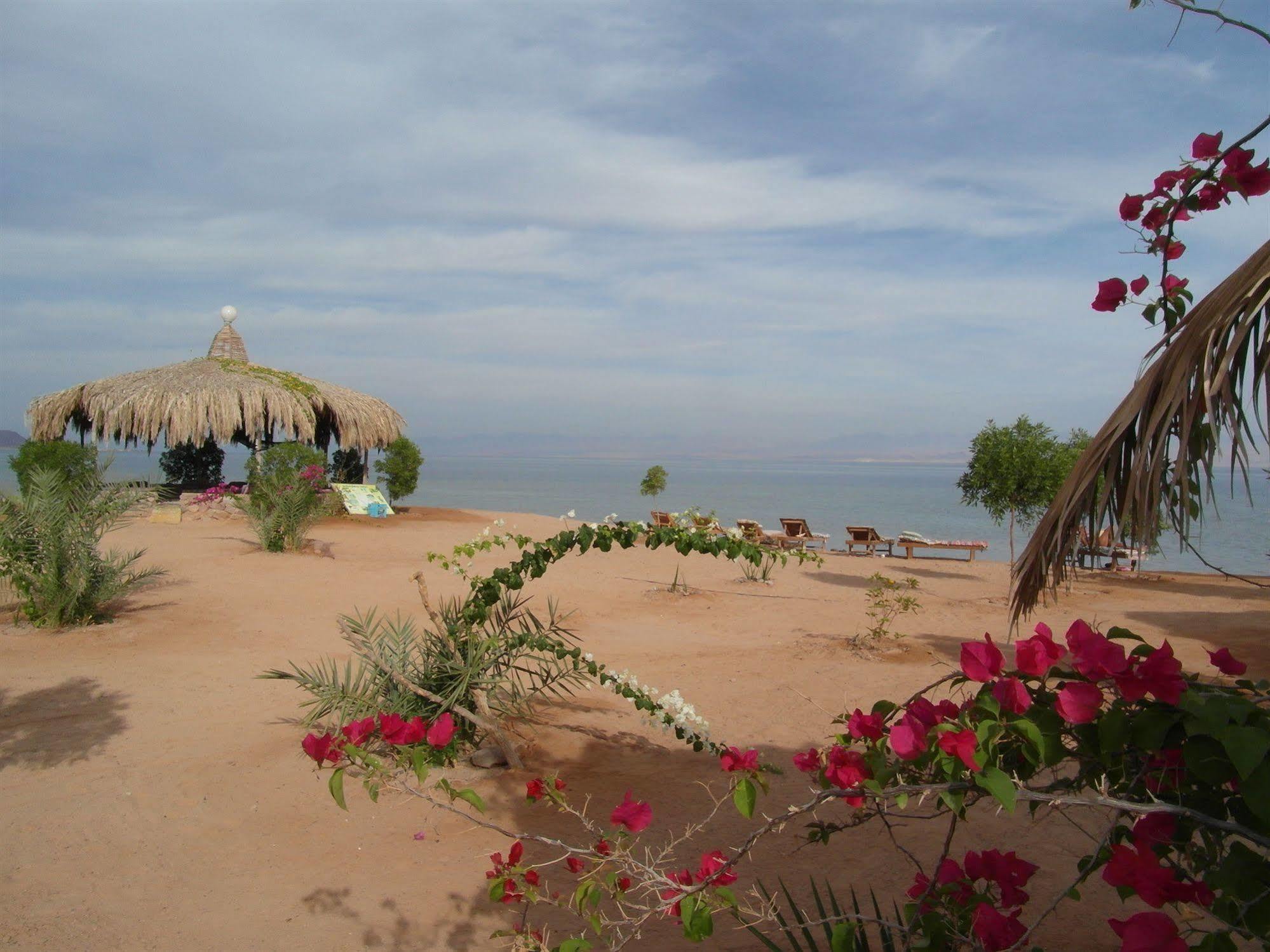 Bedouin Star Hotel Taba Kültér fotó